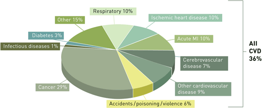 Cardiovascular Disease and Mortality in Canada